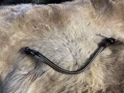 Eqviptus pannband med silvrigt klinker,snabbknäppe,40 cm,nytt