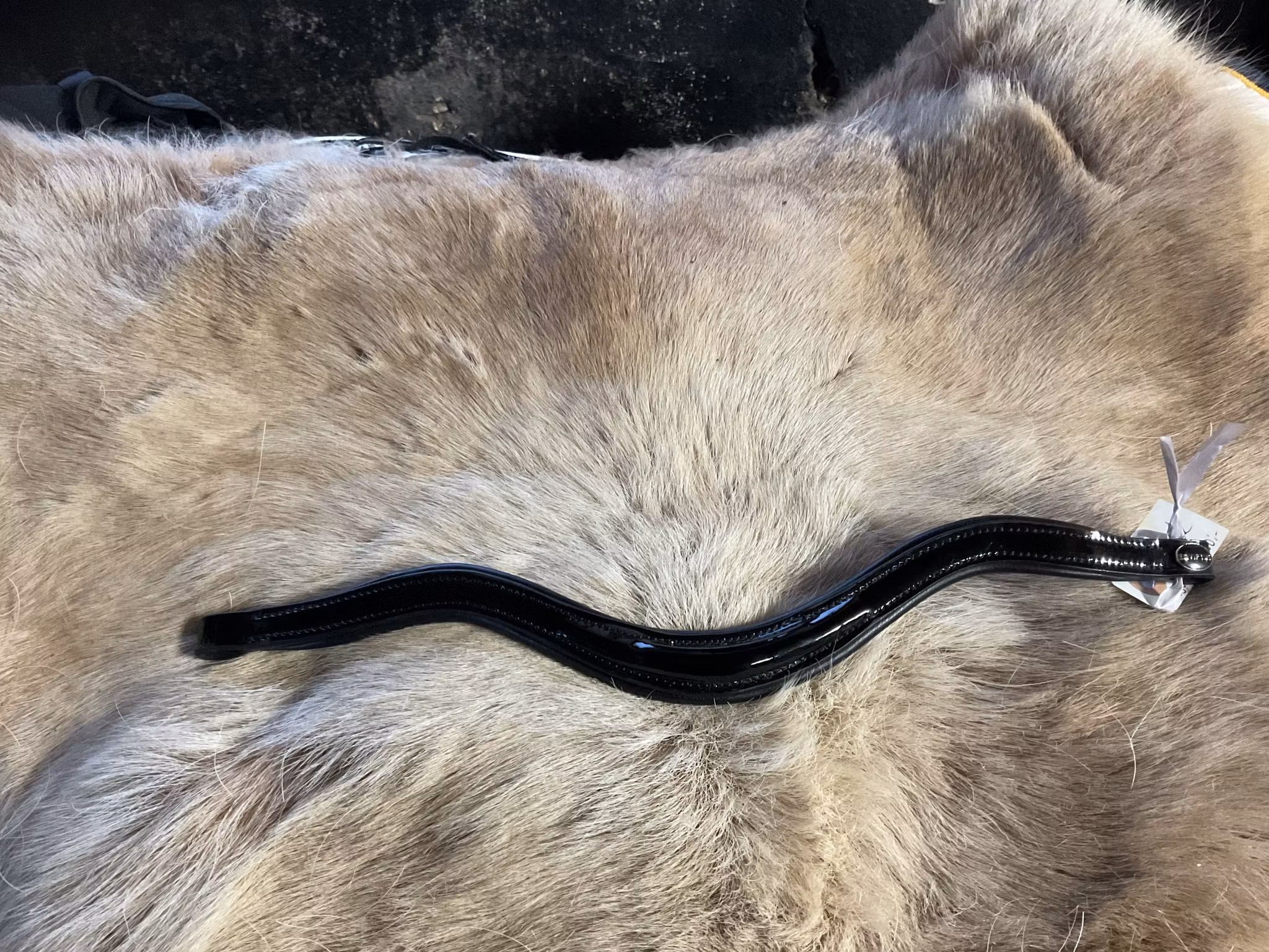 Eqviptus pannband,svart lack,40 cm, nytt