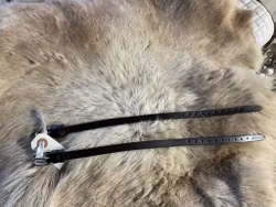 Eqviptus sporremmar,mörkbruna,nya