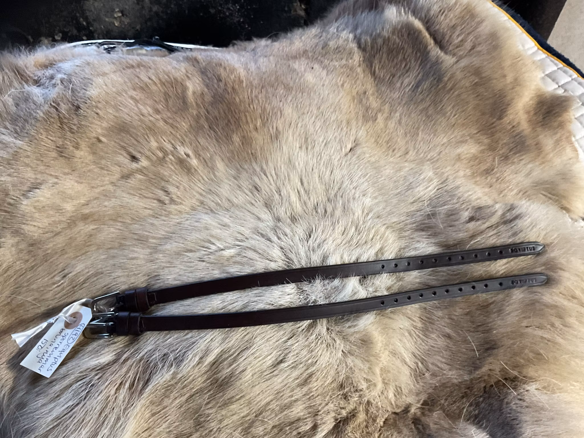 Eqviptus sporremmar,bruna,nya