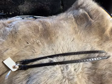 Eqviptus sporremmar,mörkbruna,guldfärgade knäppen,nya