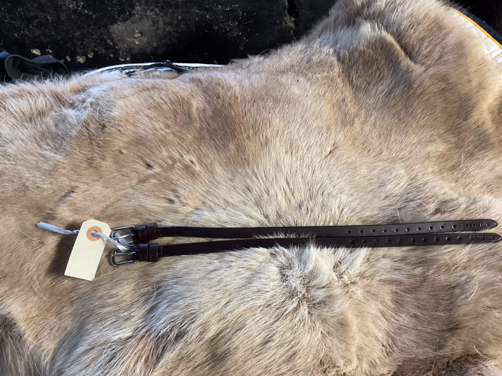 Eqviptus sporremmar,bruna,nya