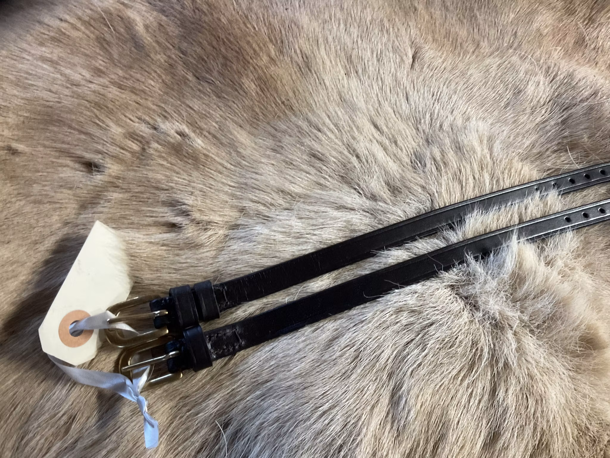 Eqviptus sporremmar,mörkbruna,guldfärgade spännen,nya