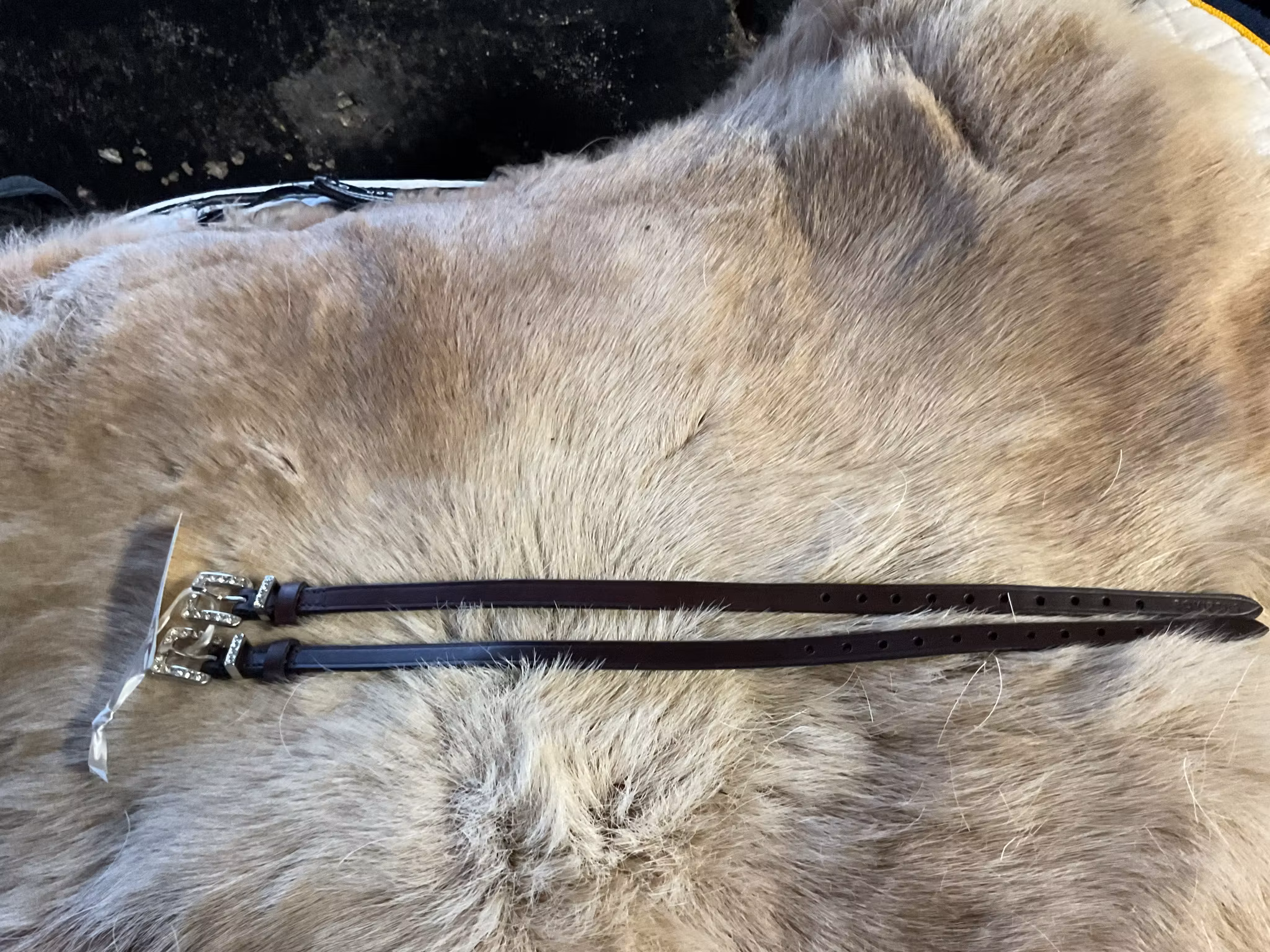 Eqviptus sporremmar,bruna med bling,nya