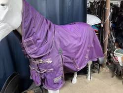 Shires täcke,135 cm,fast hals,300 gr