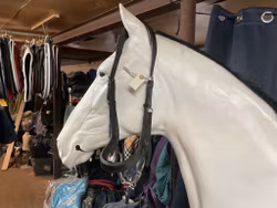 Träns cob inkl tredelat bett 11,5 cm,svart