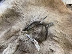 Sprenger sporrar,50 mm