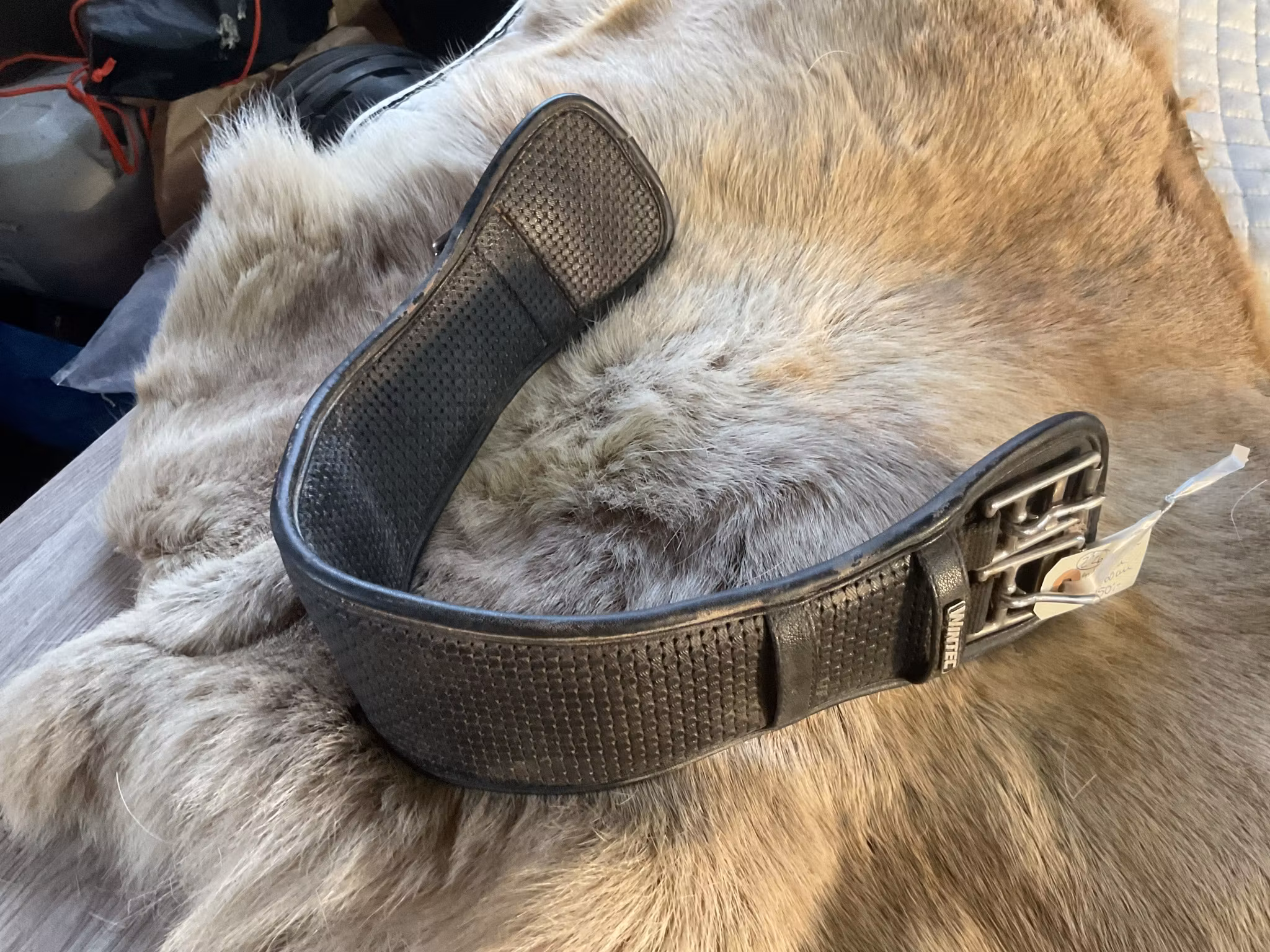 Wintec sadelgjord,svart, 60 cm