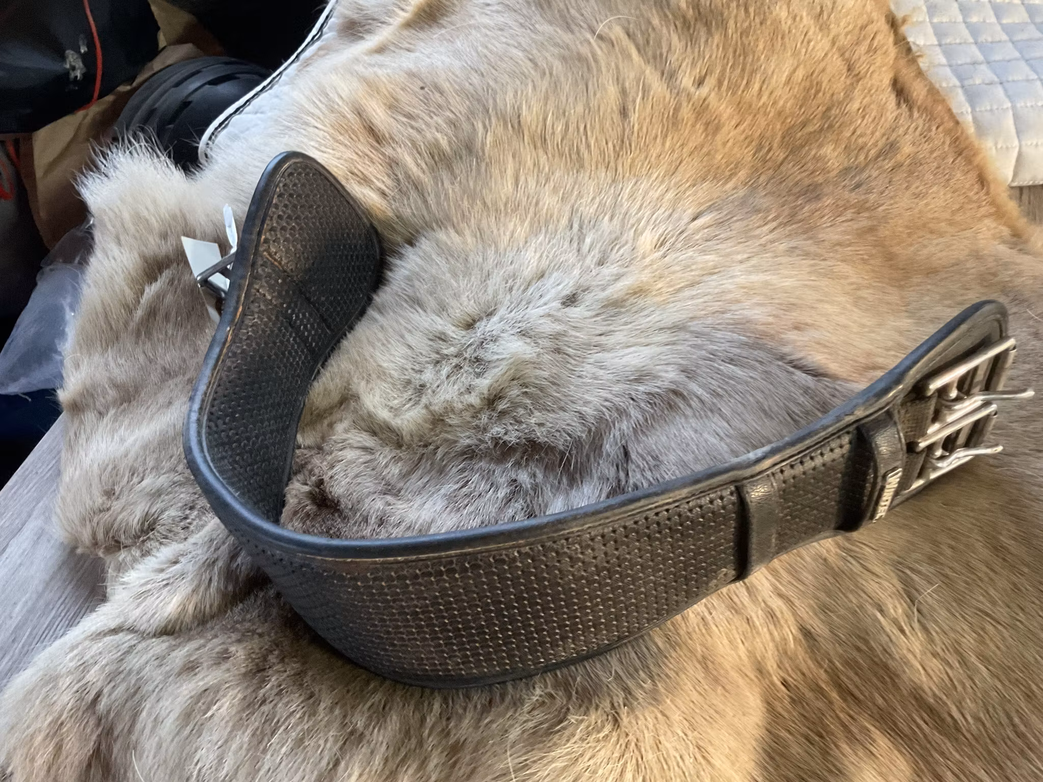 Wintec sadelgjord,svart, 60 cm