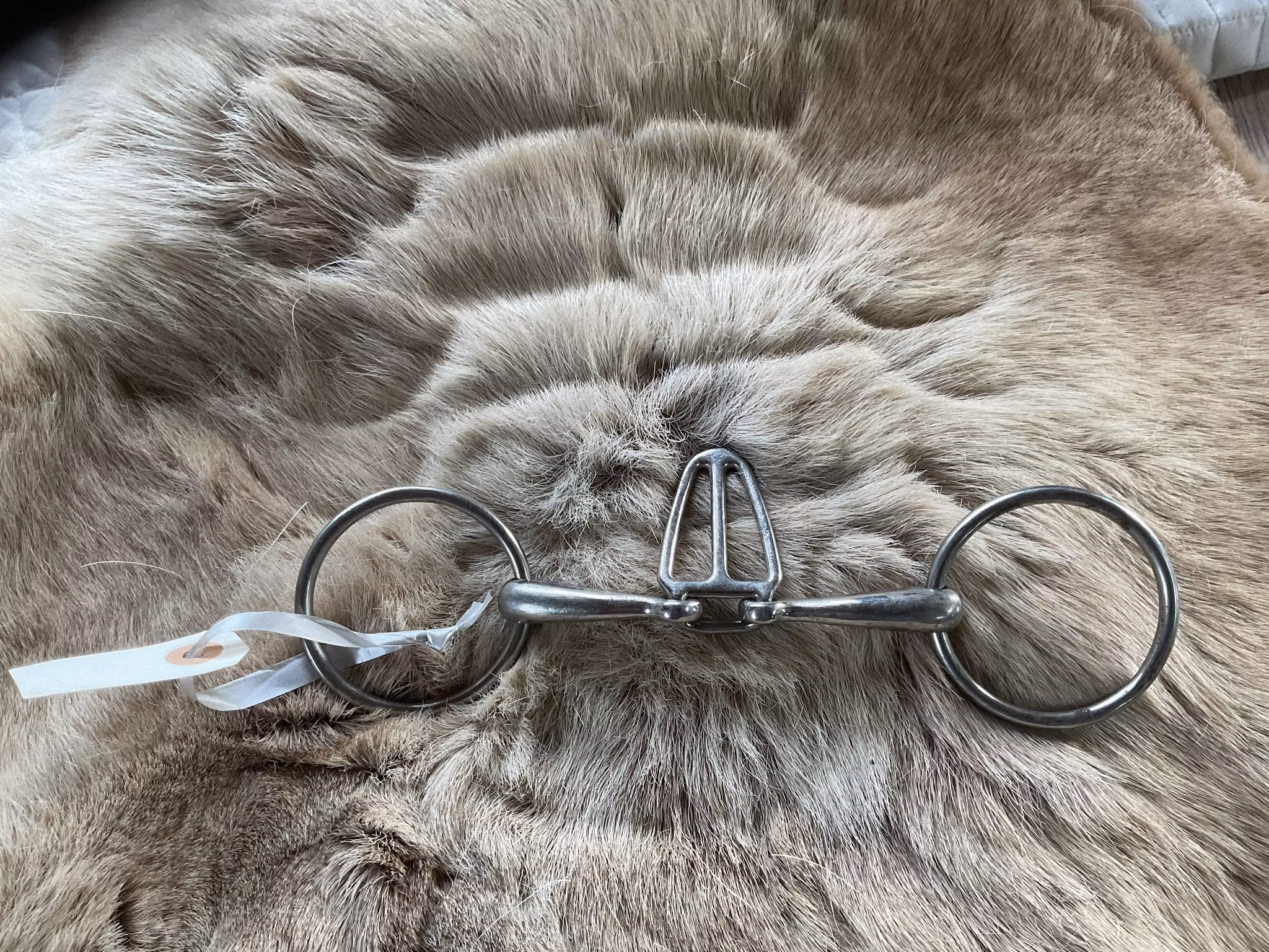 Tredelat tungfelsbett, 12,5 cm