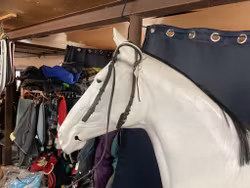 Huvudlag utan nosgrimma,svart,f