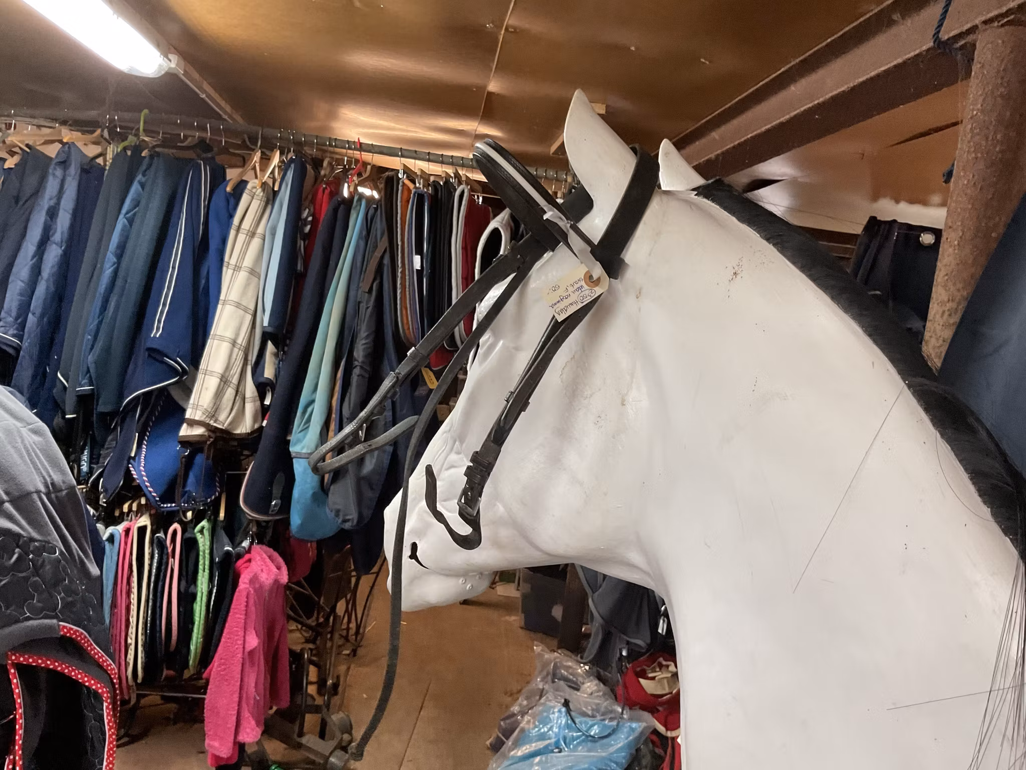 Huvudlag utan nosgrimma,svart,f