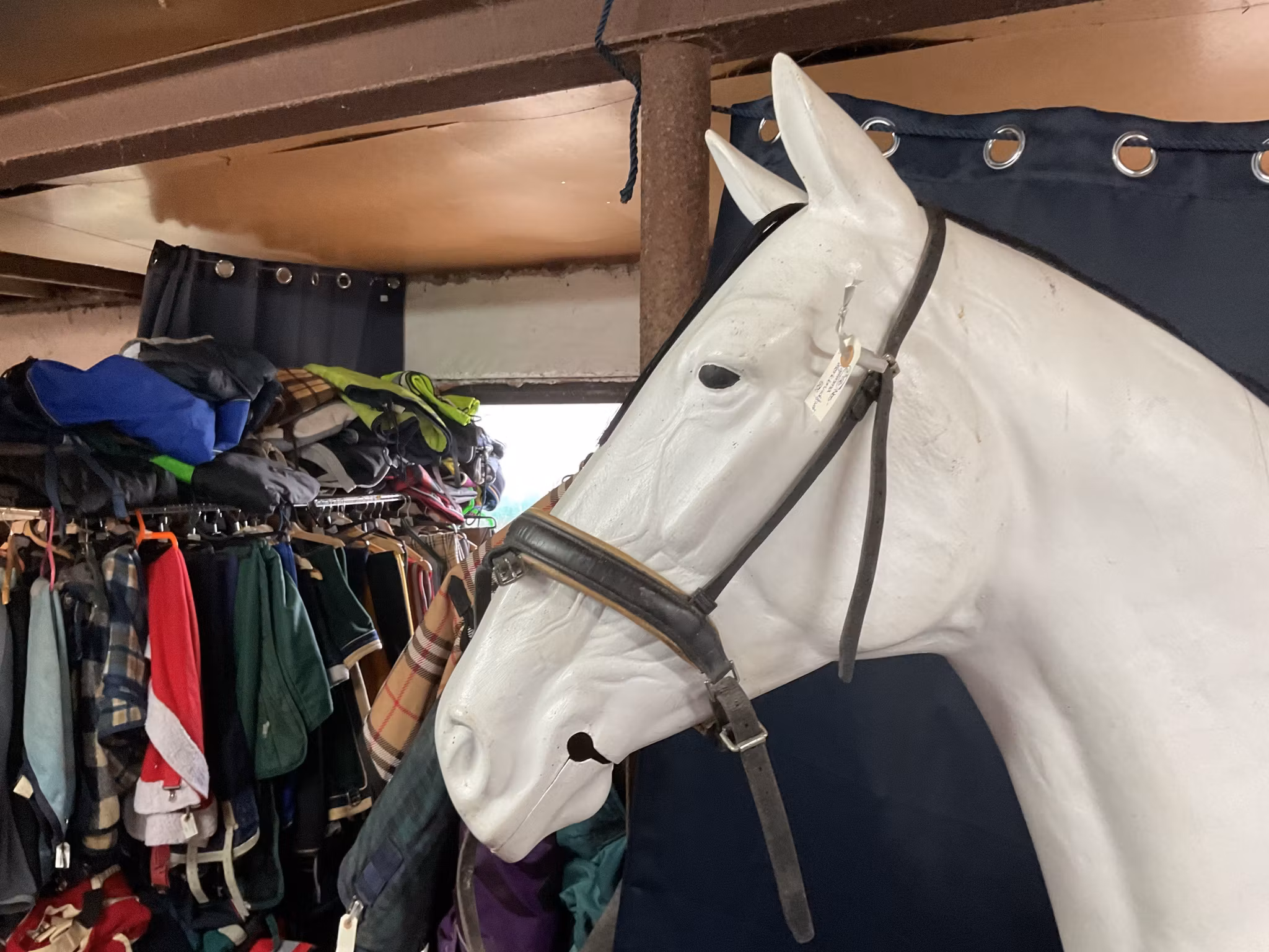 Nosgrimma,mörkbrunt/svart,f