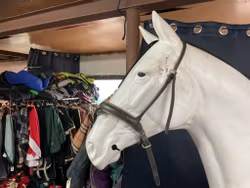 Nosgrimma,mörkbrunt/svart,f