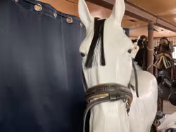 Nosgrimma,mörkbrunt/svart,f