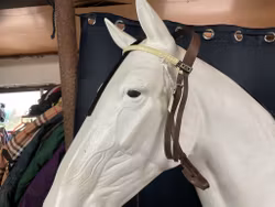 Stubben nackstycke,f,brun