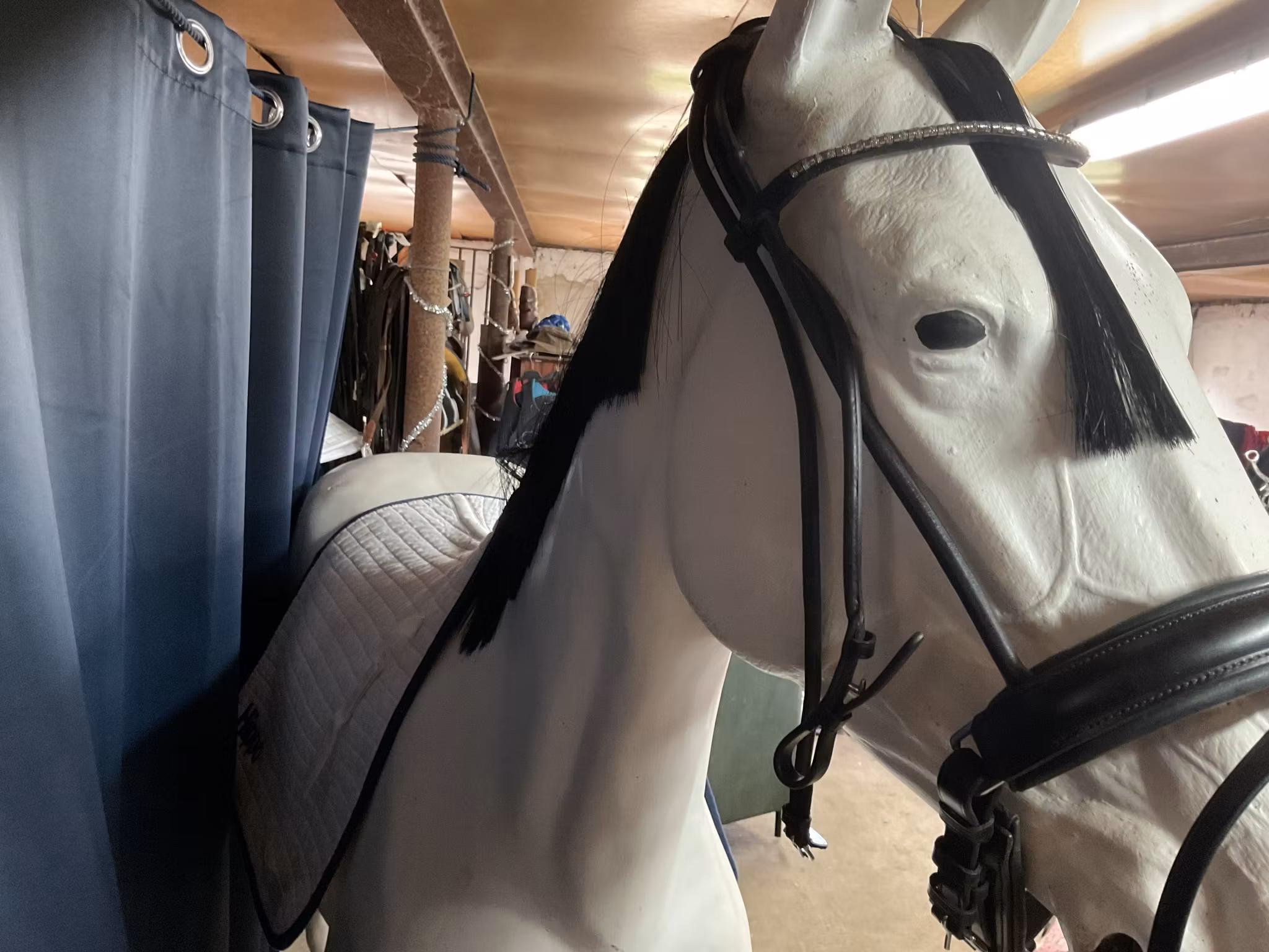 BR equestrian rundsytt träns,svart,cob,nytt