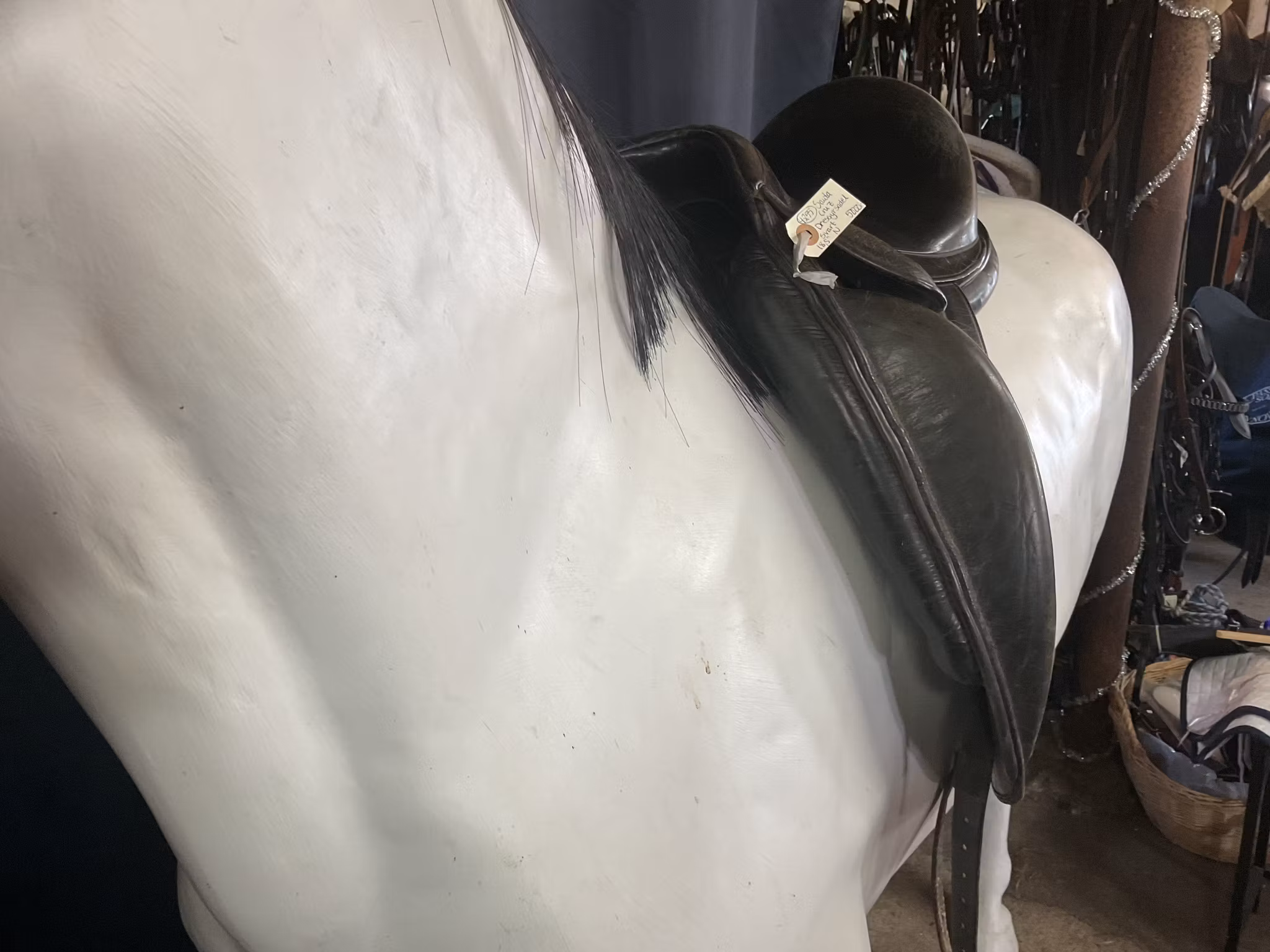 Santa cruz dressyrsadel,svart,N,18,5”