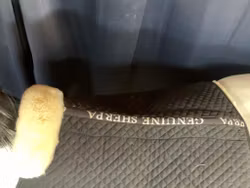Genuine sherpa,schabrak med inbyggd padd,f,nyskick