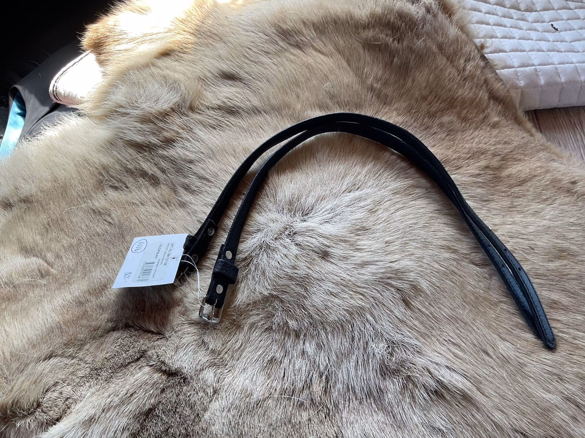 Capriole sporremmar,svart,konstläder,nya