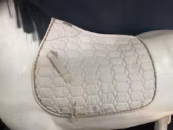 Horse saver schabrak,vitt,p
