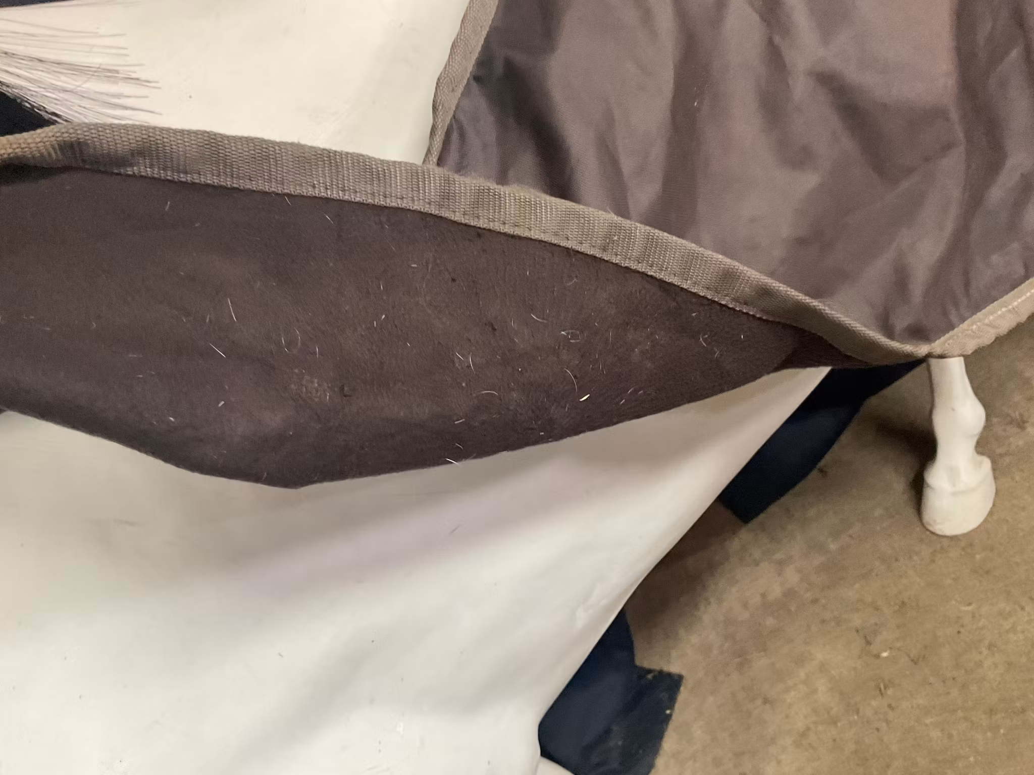 Showmaster skrittäcke,fleece insidan,brun,145 cm