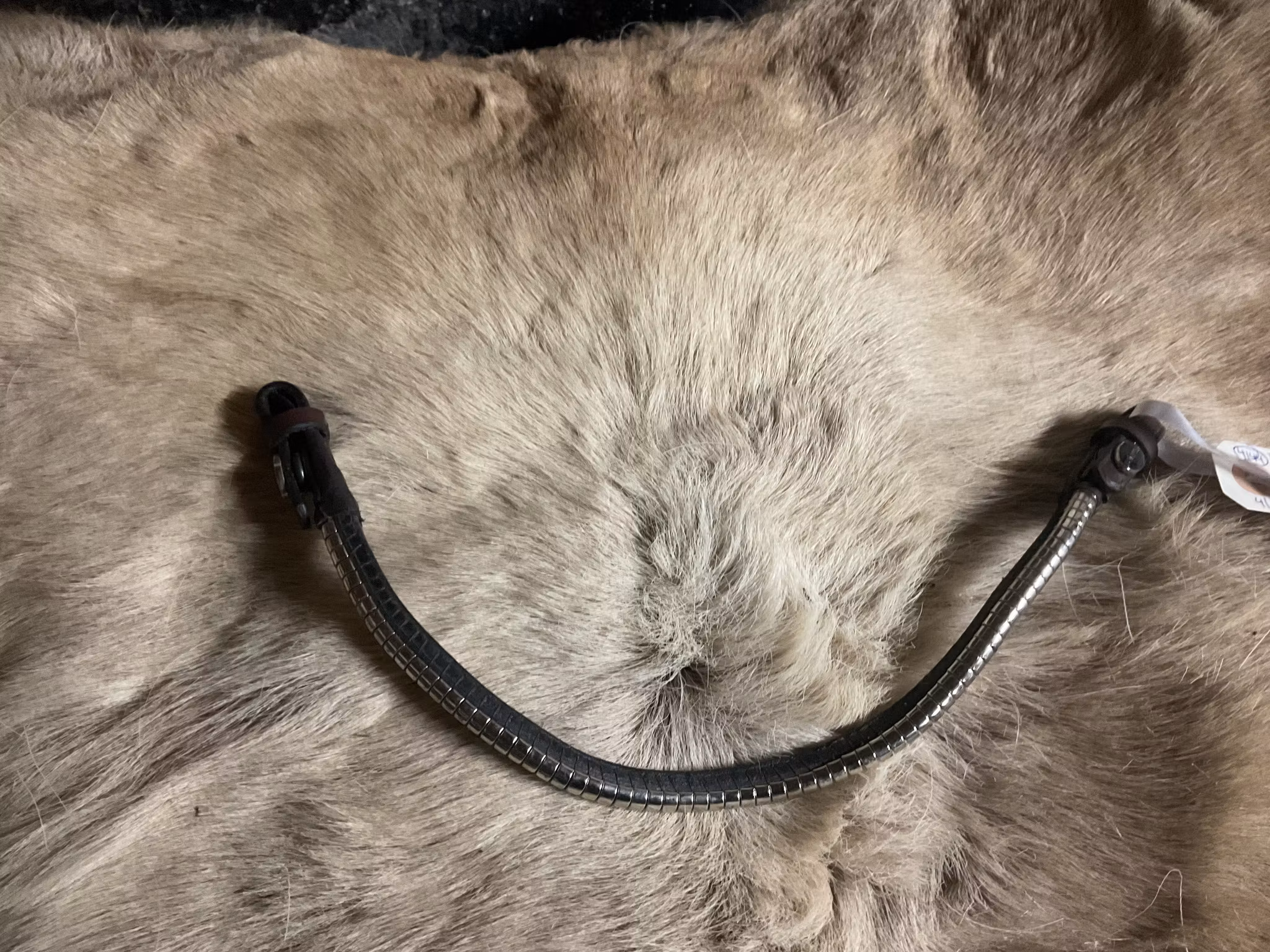 Eqviptus pannband,brunt med silvrigt klinker,snabbknäppe,41 cm, nytt