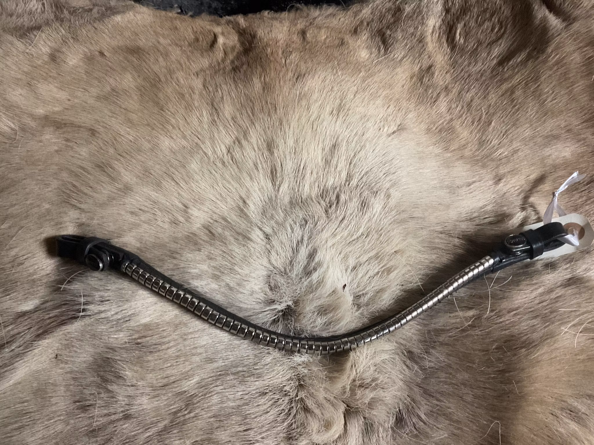 Eqviptus pannband svart med silvrigt klinker,39 cm, snabbknäppe,nytt