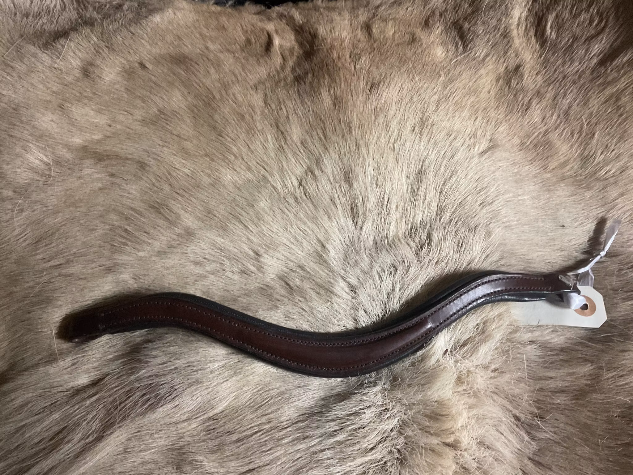 Eqviptus pannband brunt, 32 cm,nytt
