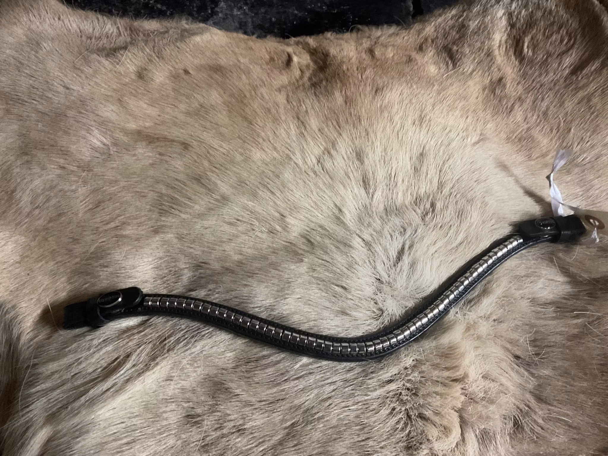 Eqviptus pannband,svart med silvrigt klinker,snabbknäppe,38 cm,nytt