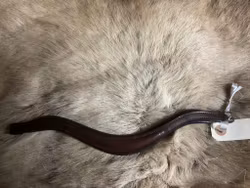Eqviptus pannband,brunt,nytt,32 cm