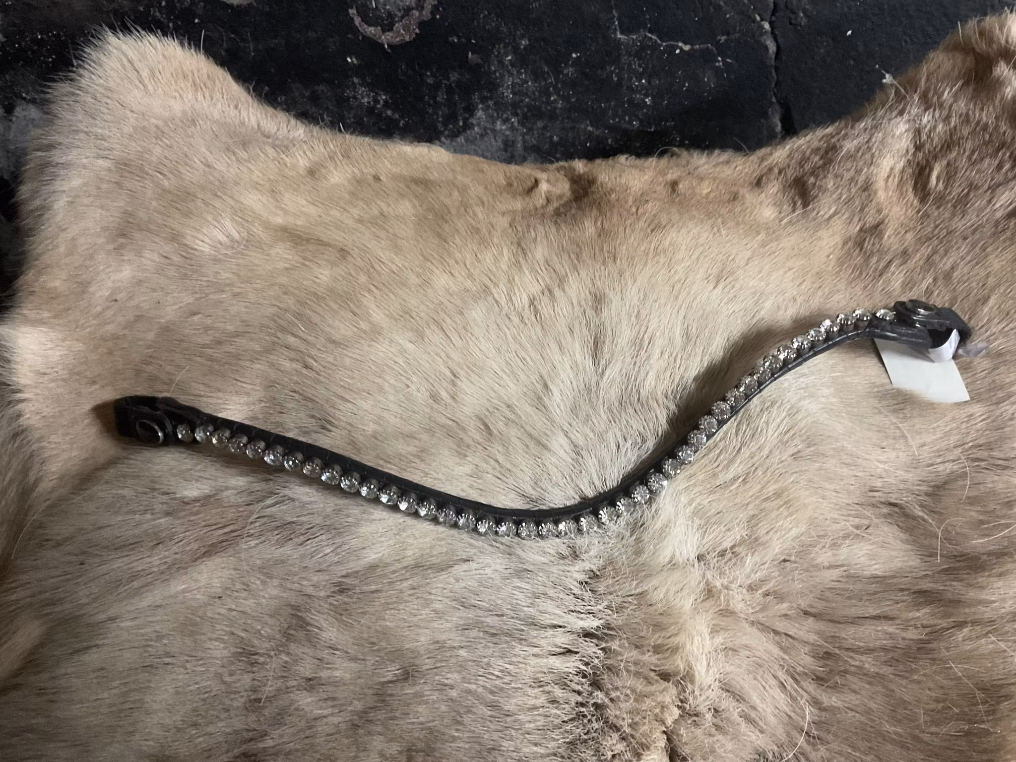 Eqviptus pannband,svart med bling,snabbknäppe,43 cm,nytt