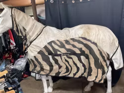 Bucas buzz off raintäcke,155 cm, fast hals