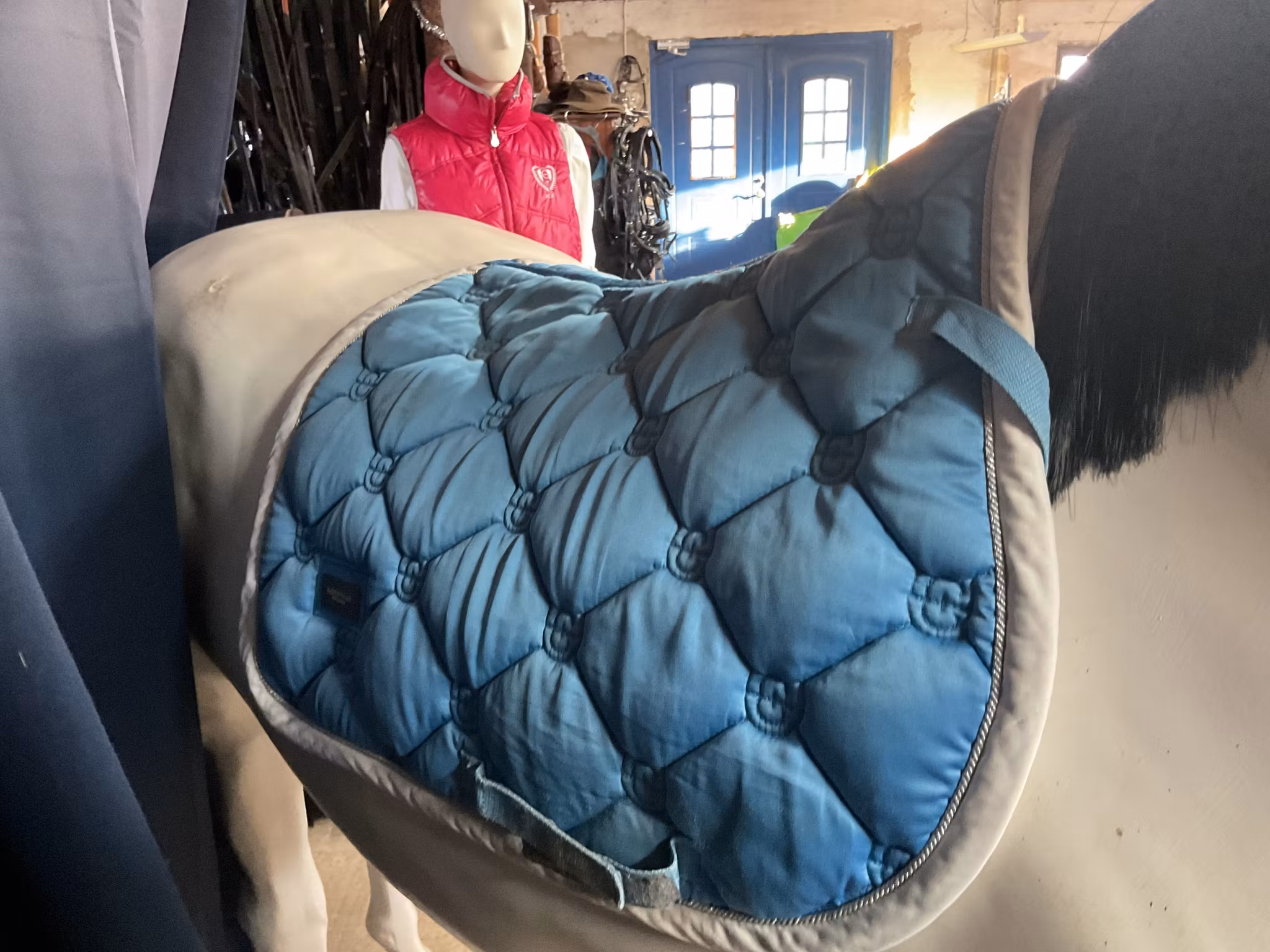 Equestrian stockholm,schabrak,blått,f