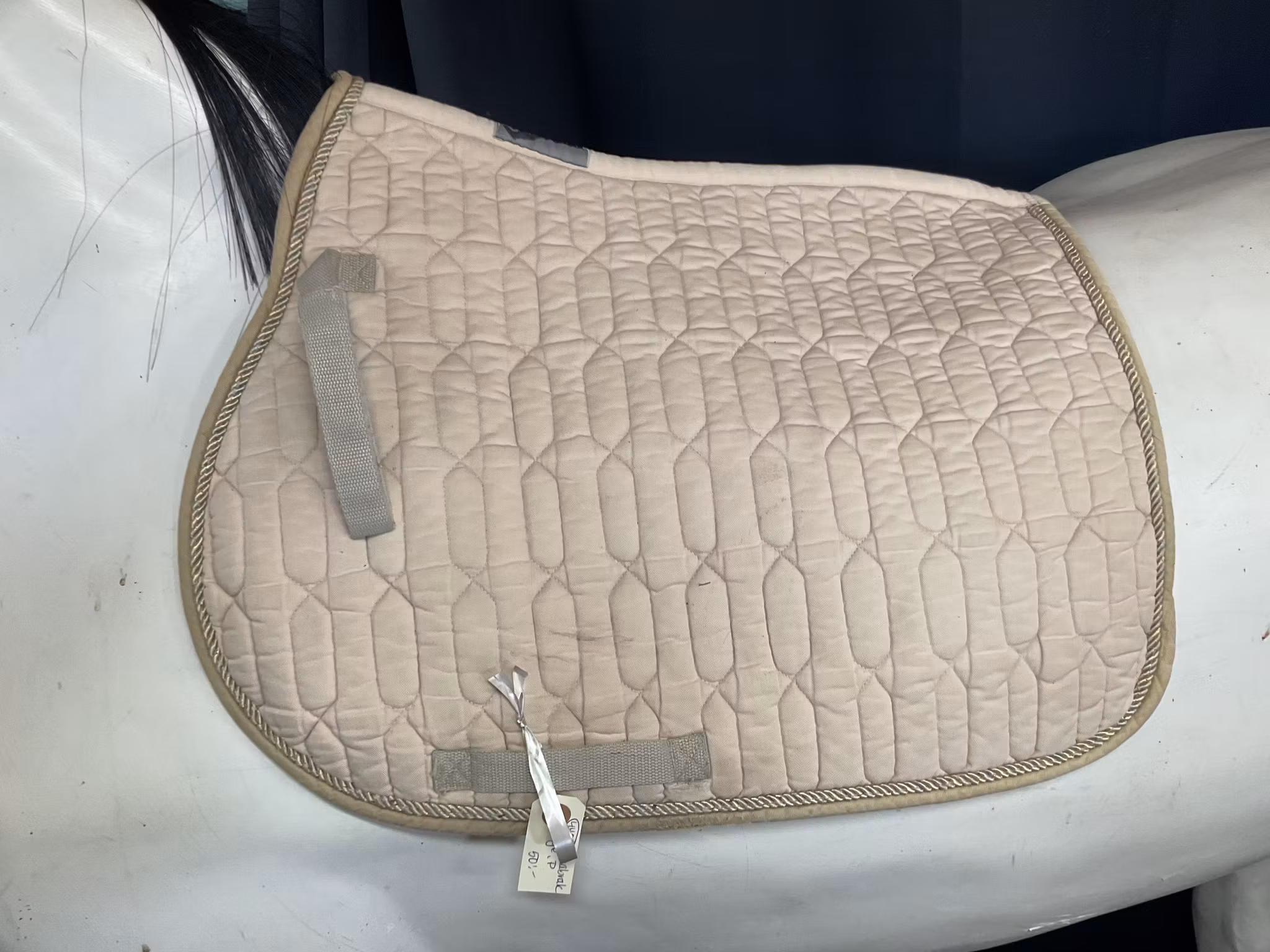 Schabrak,beige,p
