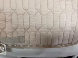 Schabrak,beige,p