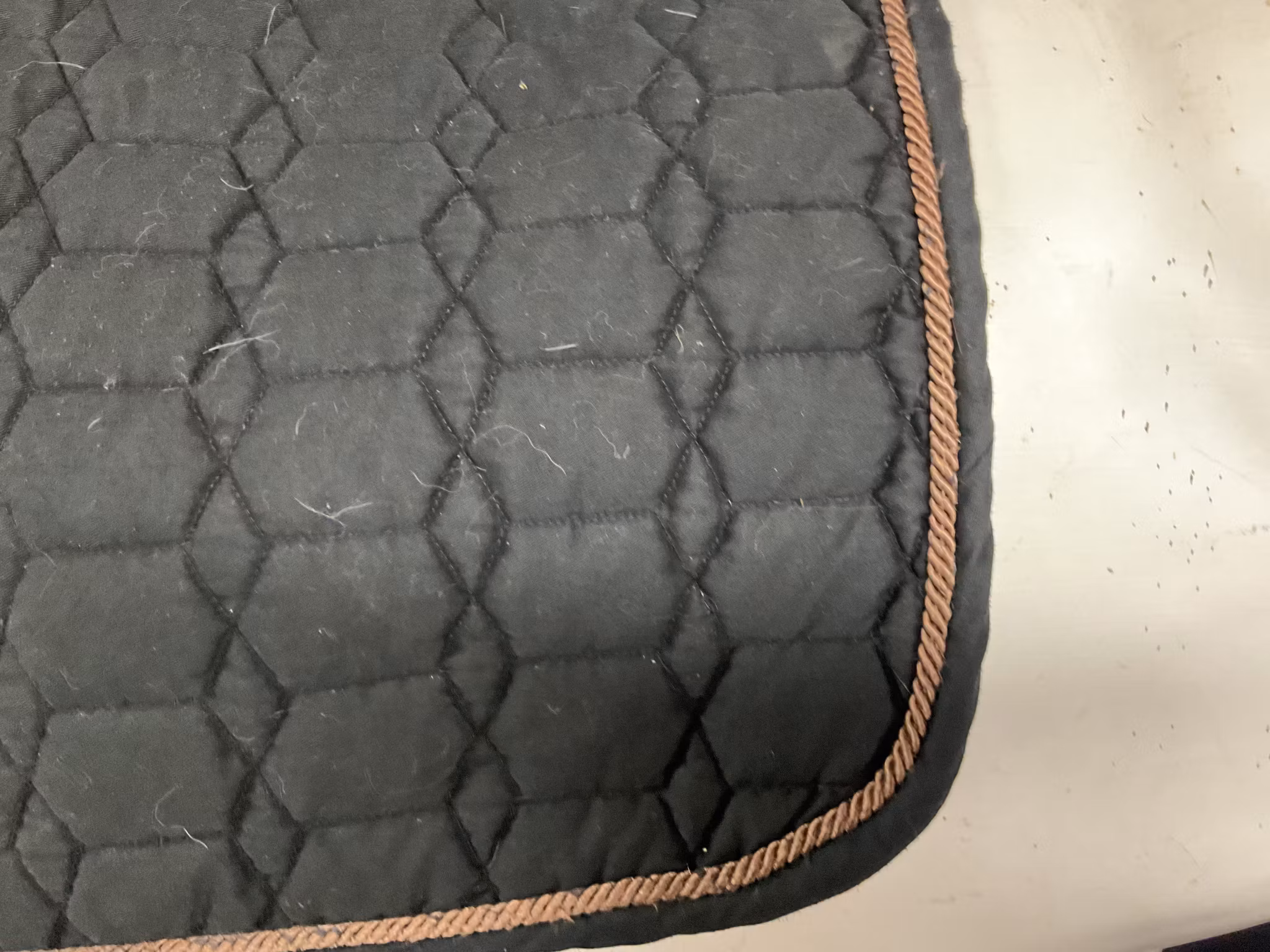 Schabrak,svart,f