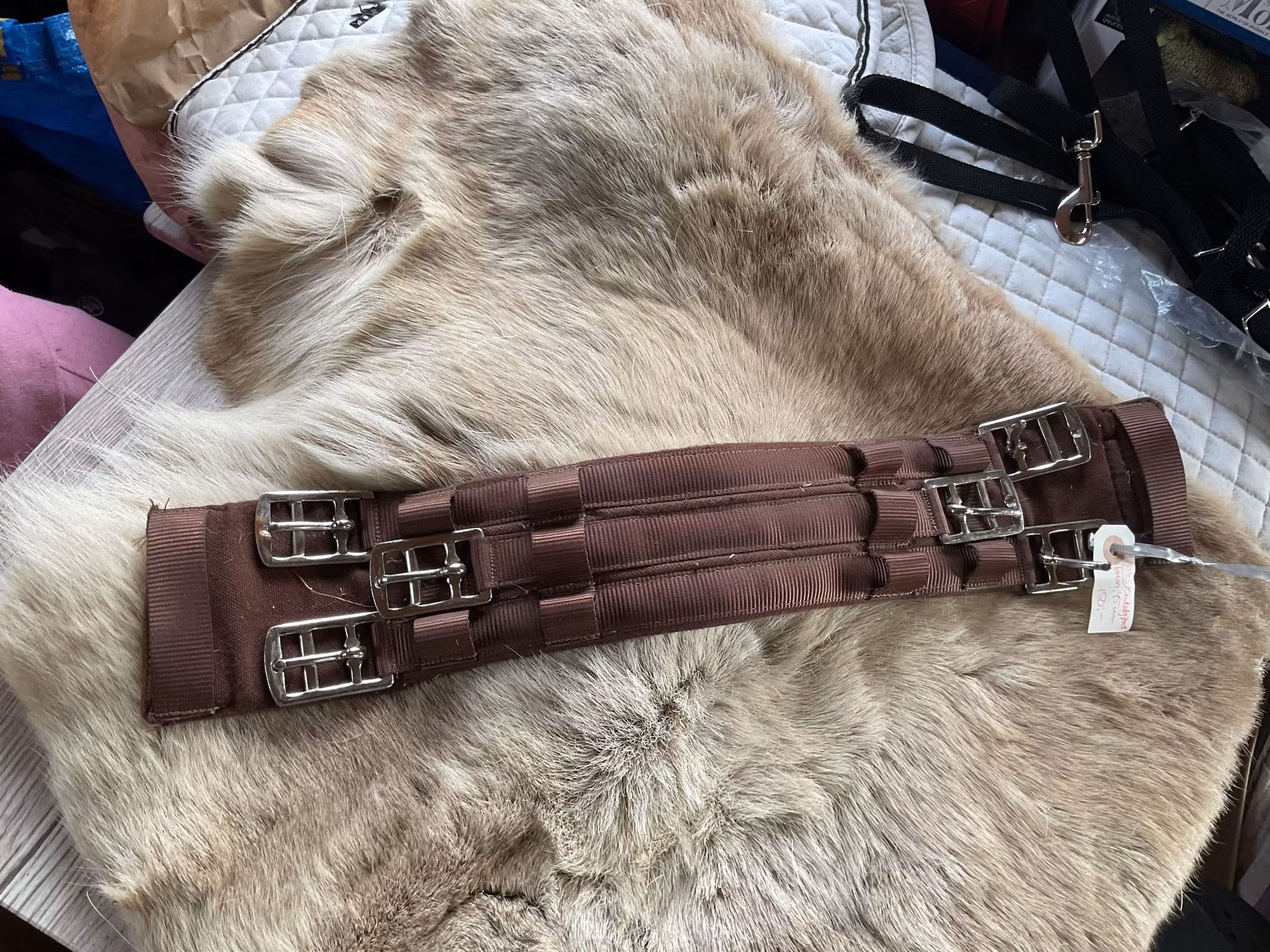 Sadelgjord brun, 45 cm