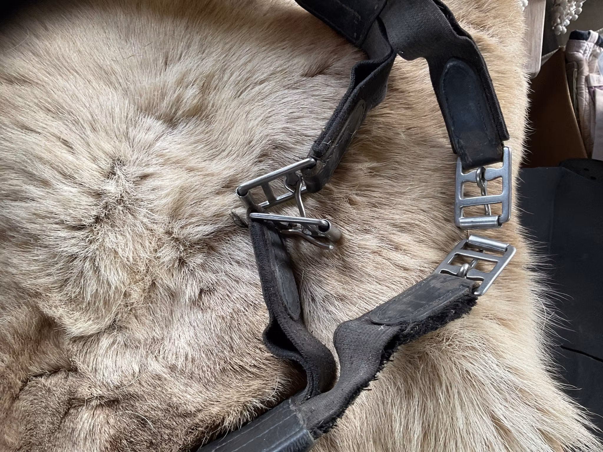 Sadelgjord med magplatta,svart,140 cm