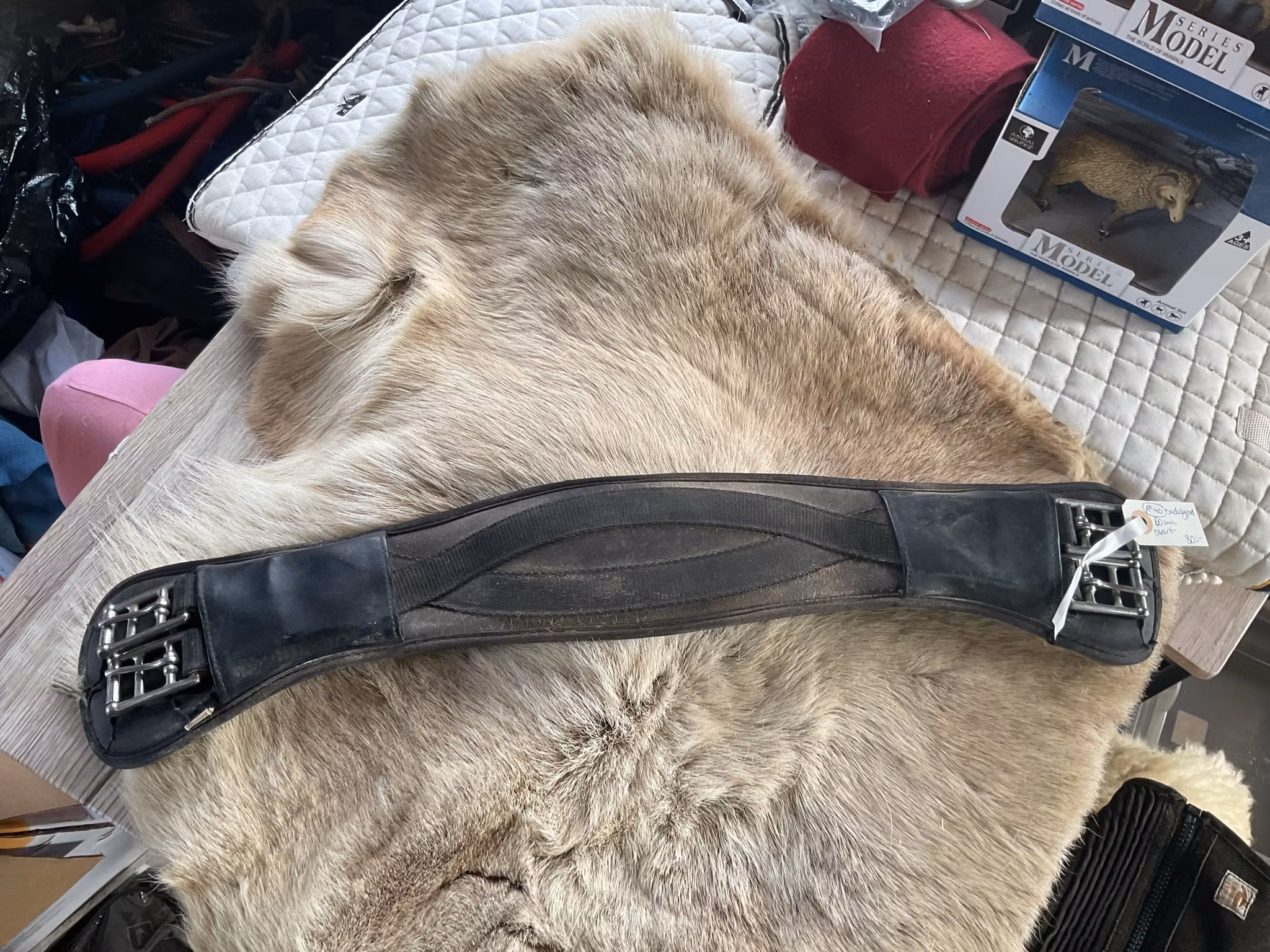 Sadelgjord svart,60 cm