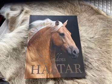 Bok-all världens hästar