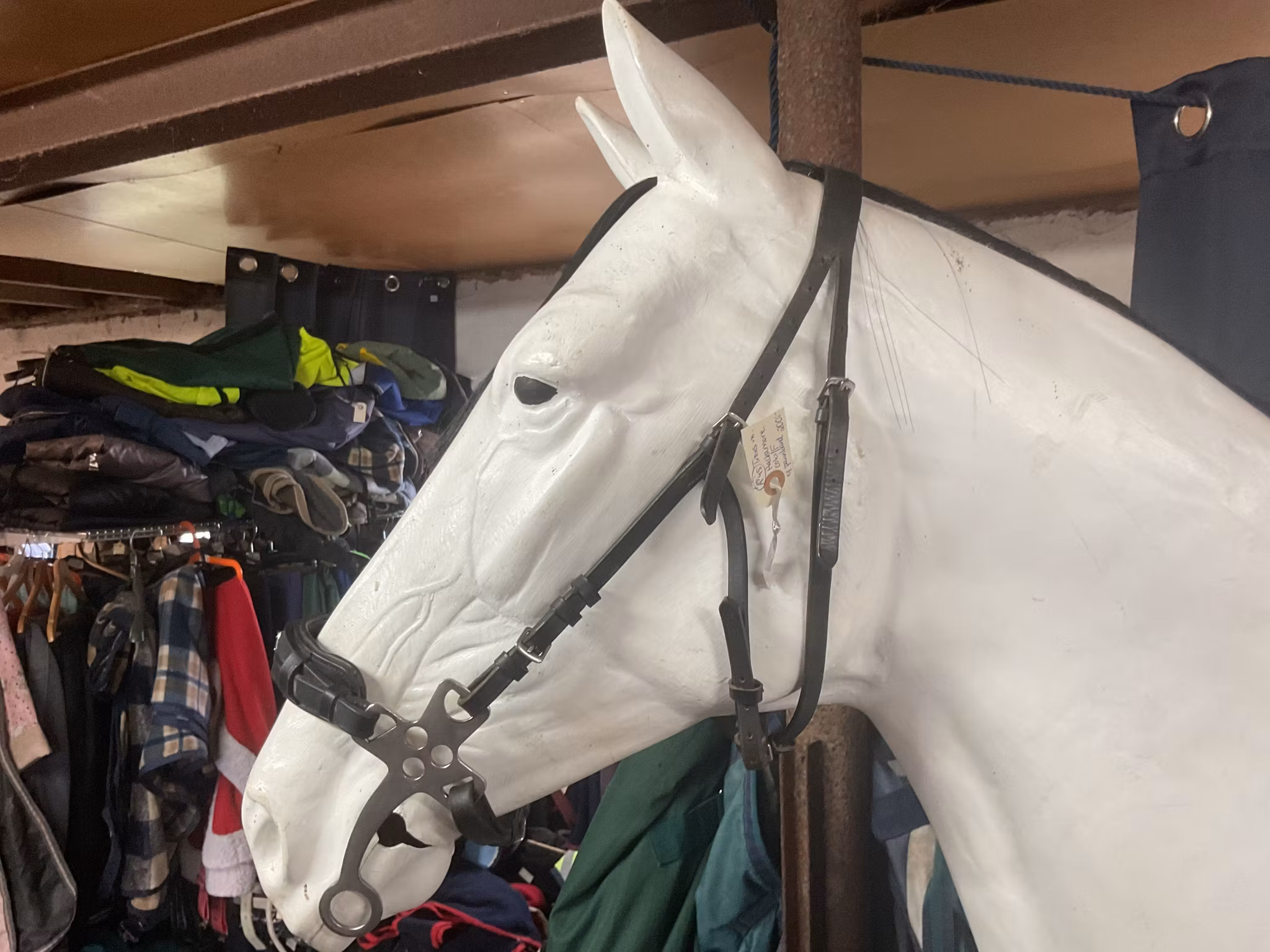 Träns med hackamore, cob/f, ej pannband