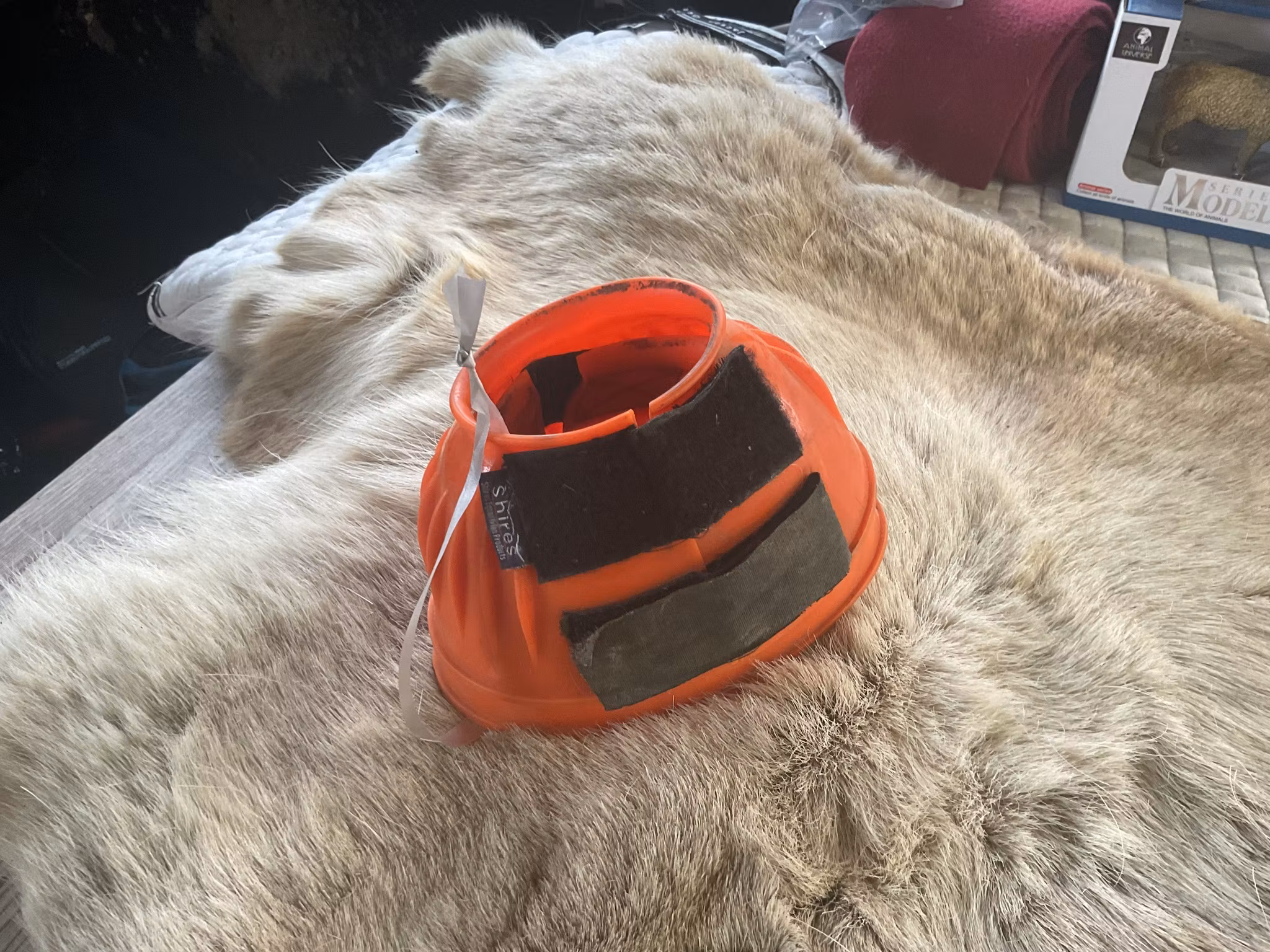 Shires boots orange,L
