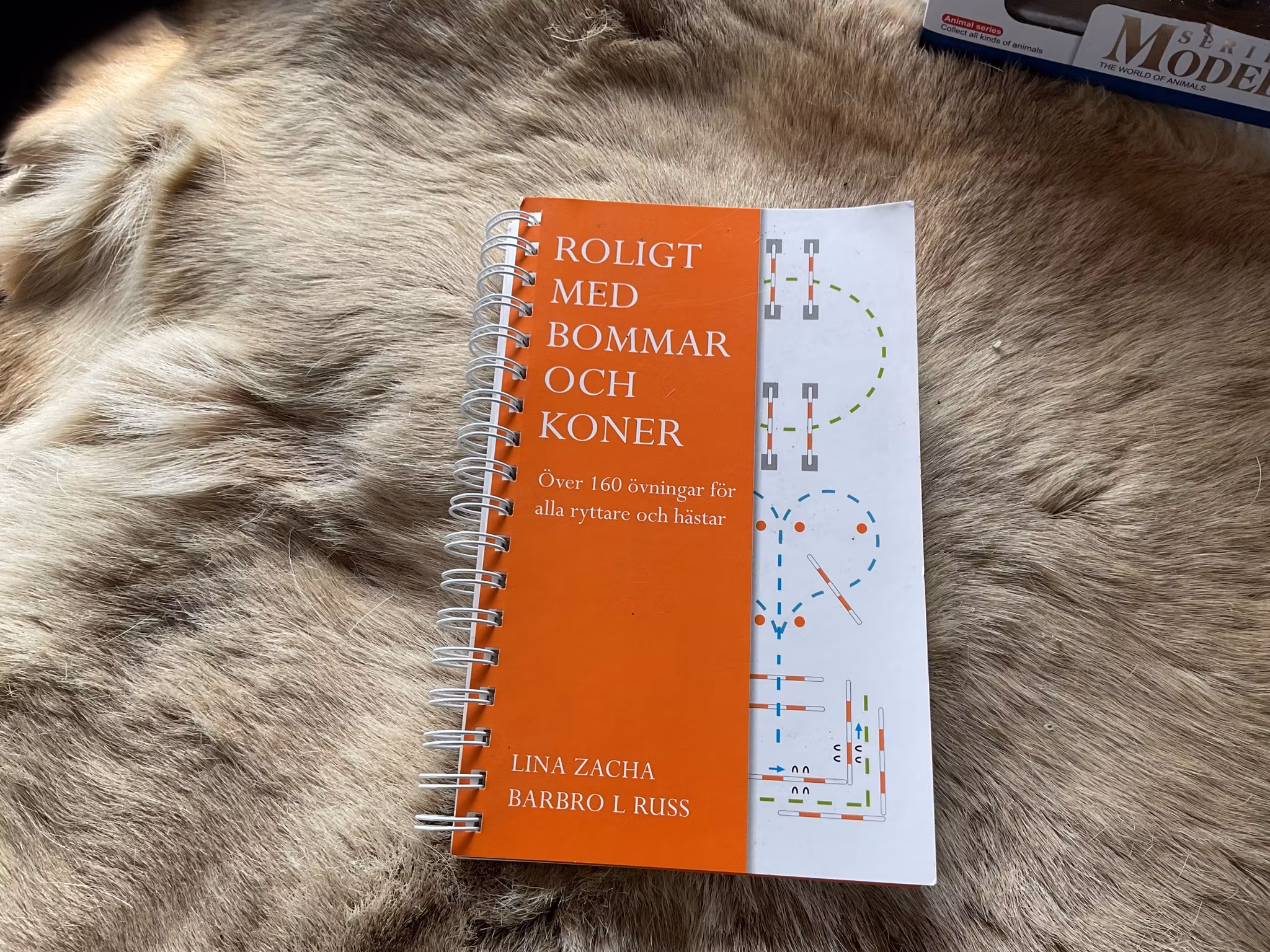 Bok ”roligt med bommar och koner”