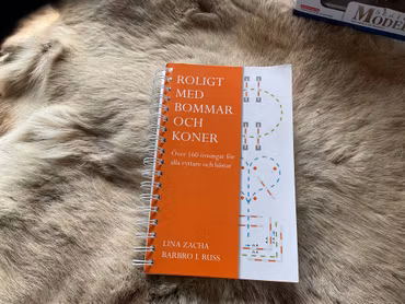 Bok ”roligt med bommar och koner”