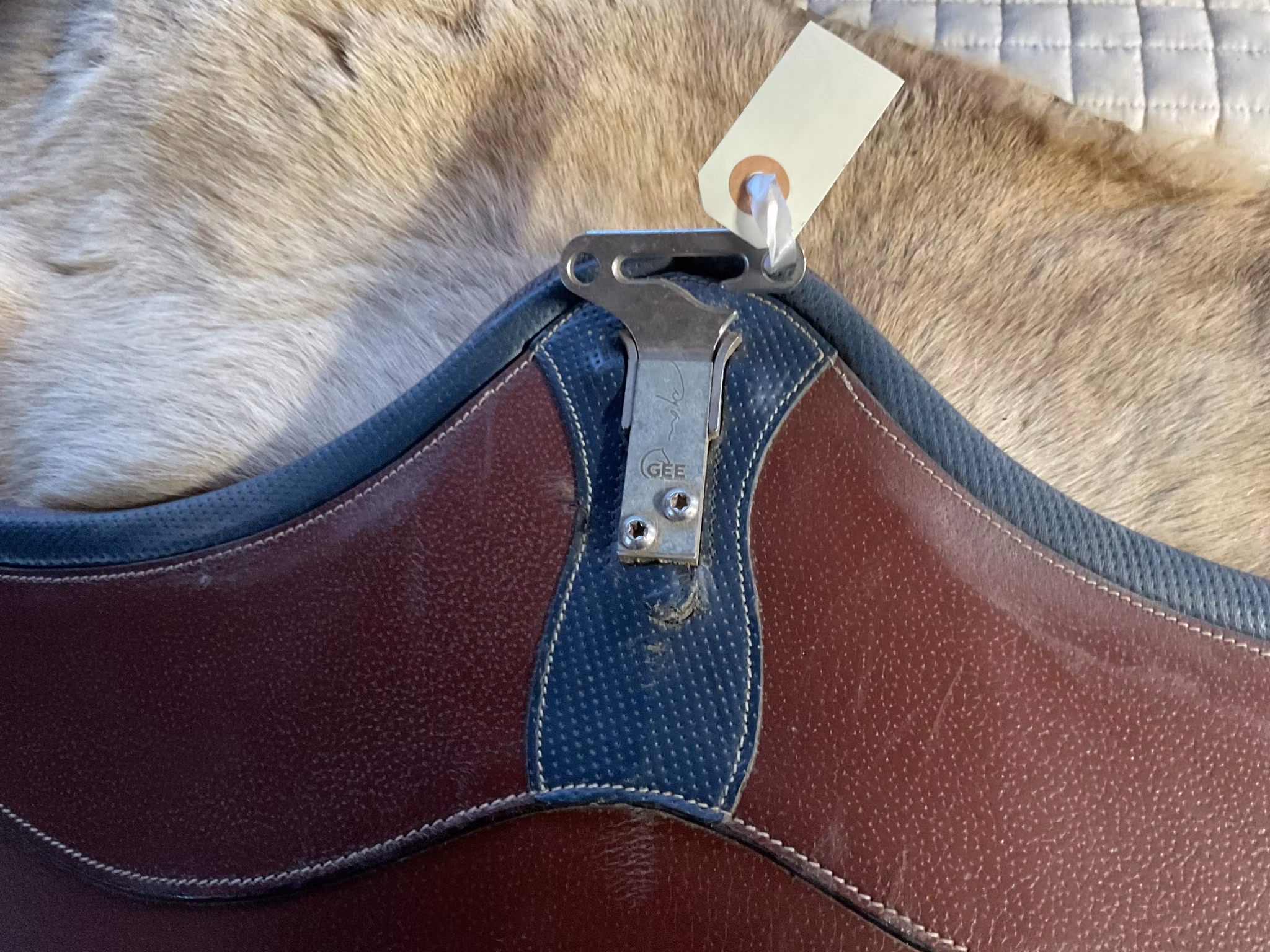 D`yon sadelgjord med magplatta, brun, 135 cm
