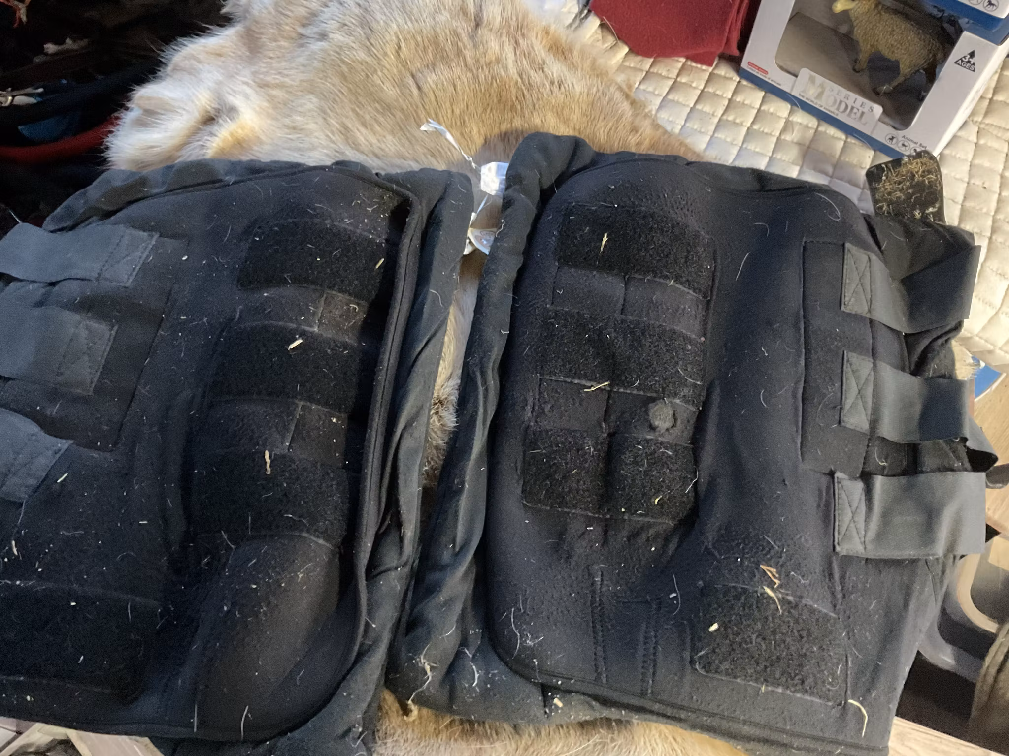 Back on track snabbandage,L, 2 st, ngt slitna