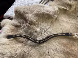 TEW pannband med gula pärlor, 42 cm