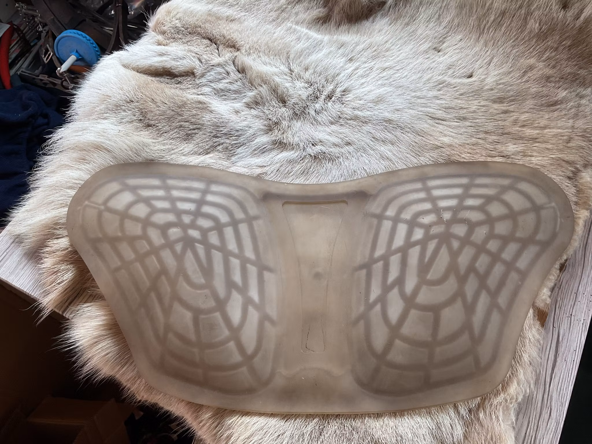 Fjärilspadd