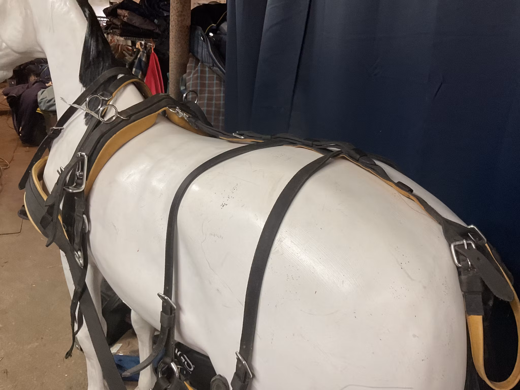 Ideal equestrian sele,f